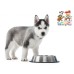 1800ml Pet Stainless Steel Bowl for Dogs, Cats & Any Pets - Non-Skid Food, 100% Safe for Pets, Silver