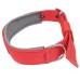 Pet Collar 24 inch double sided and padded