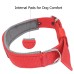 Pet Collar 24 inch double sided and padded